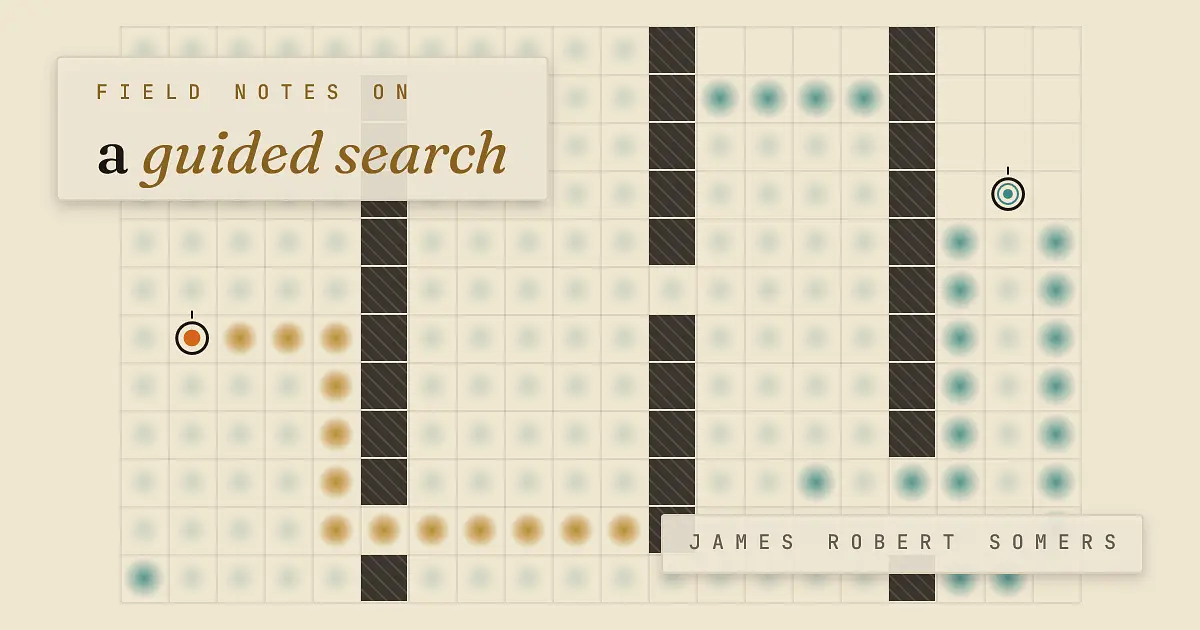 Cover for Field notes on a guided search