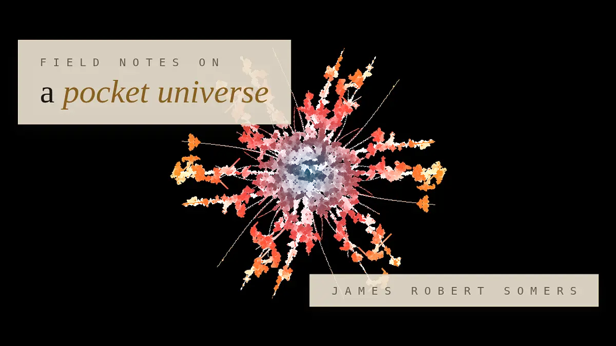Cover for Field notes on a pocket universe